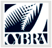 CYBRA Corporation